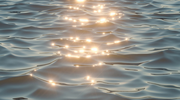 Pleasure Cruise:  Sustainability Considerations in Global Supply Chain